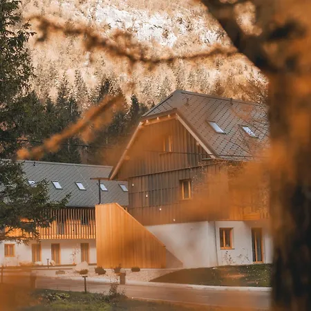 Residence Soca Διαμέρισμα