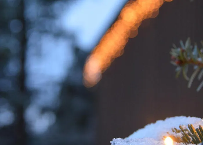 Apartament Residence Soca